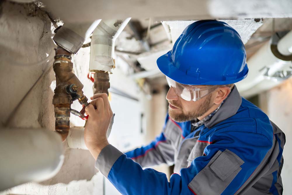 plumbing inspection professional