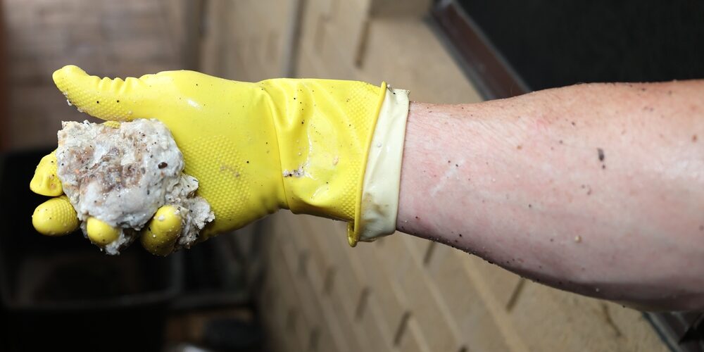 Hardened yellow grease blocking a cast iron pipe interior